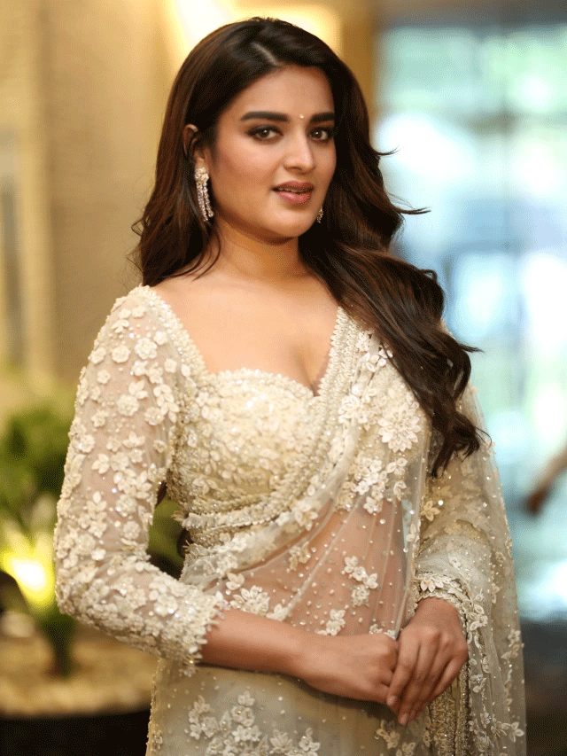Nidhhi Agerwal Shines at Hari Hara Veera Mallu Press Meet