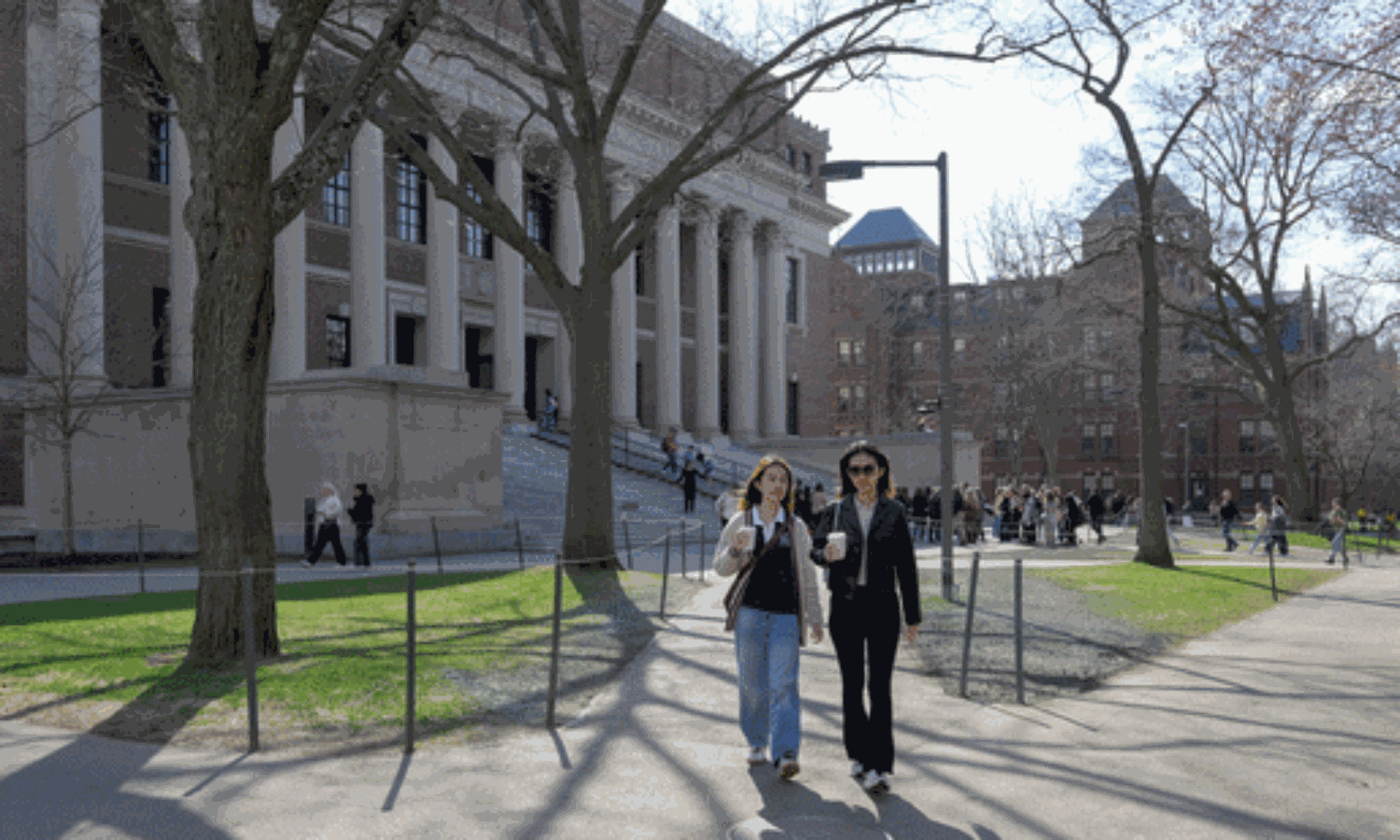 7,000 మంది విషయంలో హార్వర్డ్  కీలక నిర్ణయం.. ట్రంప్  కు బిగ్  స్ట్రోక్!