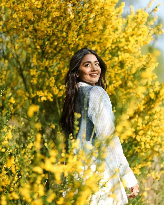 Pooja Hegde Glows in Scenic Outdoor Shoot Pooja Hegde Glows in Scenic Outdoor Shoot