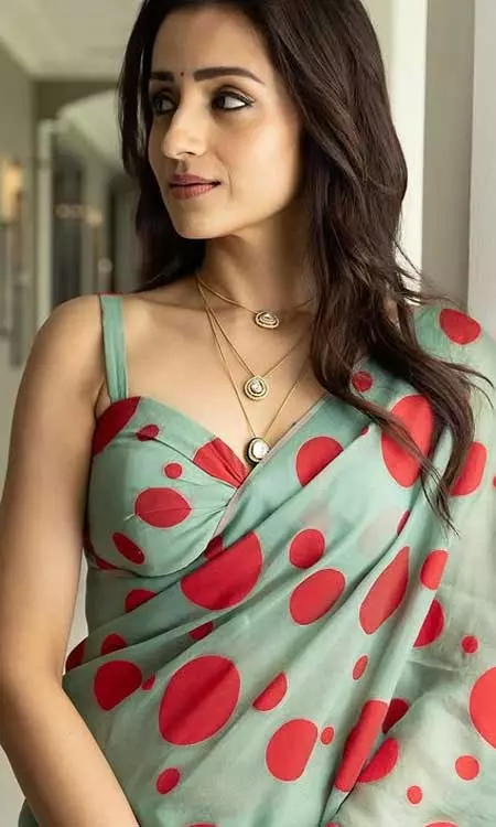 Trisha Krishnan looks Graceful In Her Latest Instagram Post