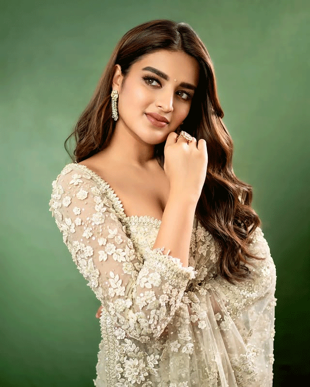 Nidhhi Agerwal Begins Hari Hara Veera Mallu Promotions