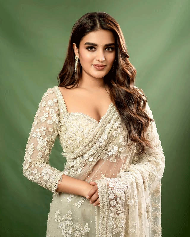 Nidhhi Agerwal Begins Hari Hara Veera Mallu Promotions