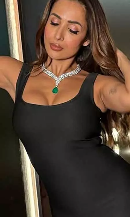 Malaika Aroras Beautiful Life In Pictures