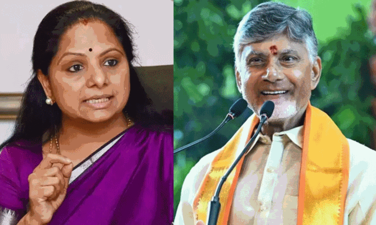 చంద్రబాబును వదలని కవిత