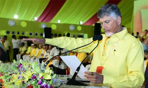 సీమ బిడ్డ ఇమేజ్ బాబుకు దక్కినట్లేనా ?