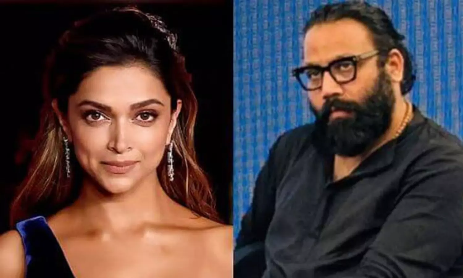 దీపికలో వంగాకు నచ్చనిది అది కాదు ఇదీ దీపికలో వంగాకు నచ్చనిది అది కాదు ఇదీ