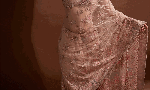 Pranitha embroidered saree steals hearts at Cannes