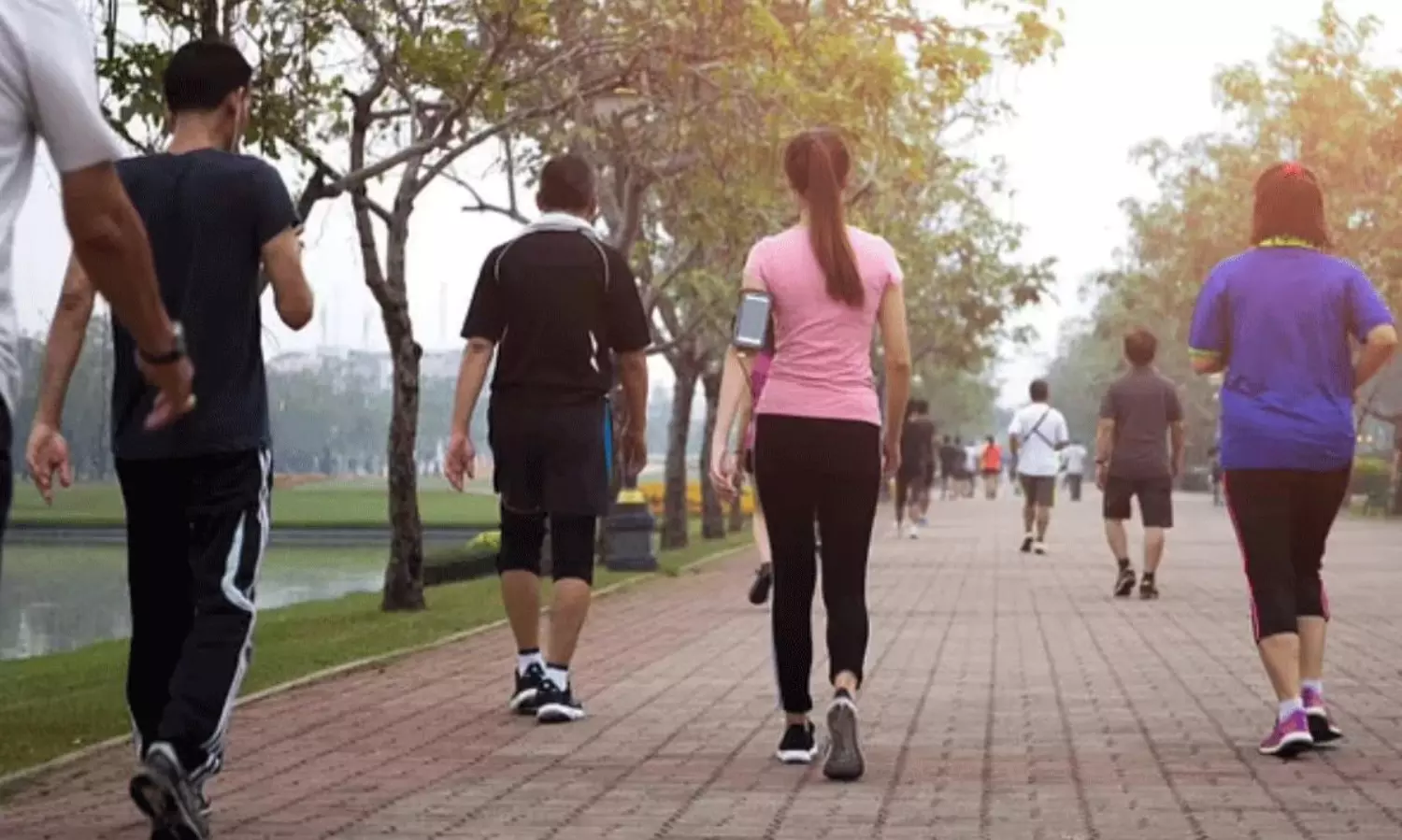 కొలెస్ట్రాల్, బీపీ, షుగర్ కంట్రోల్.. జపాన్ వాకింగ్ పద్ధతితో అదిరే ఫలితాలు!