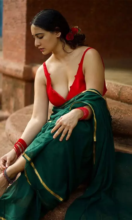 Megha Shukla’s Saree Look Wins Hearts