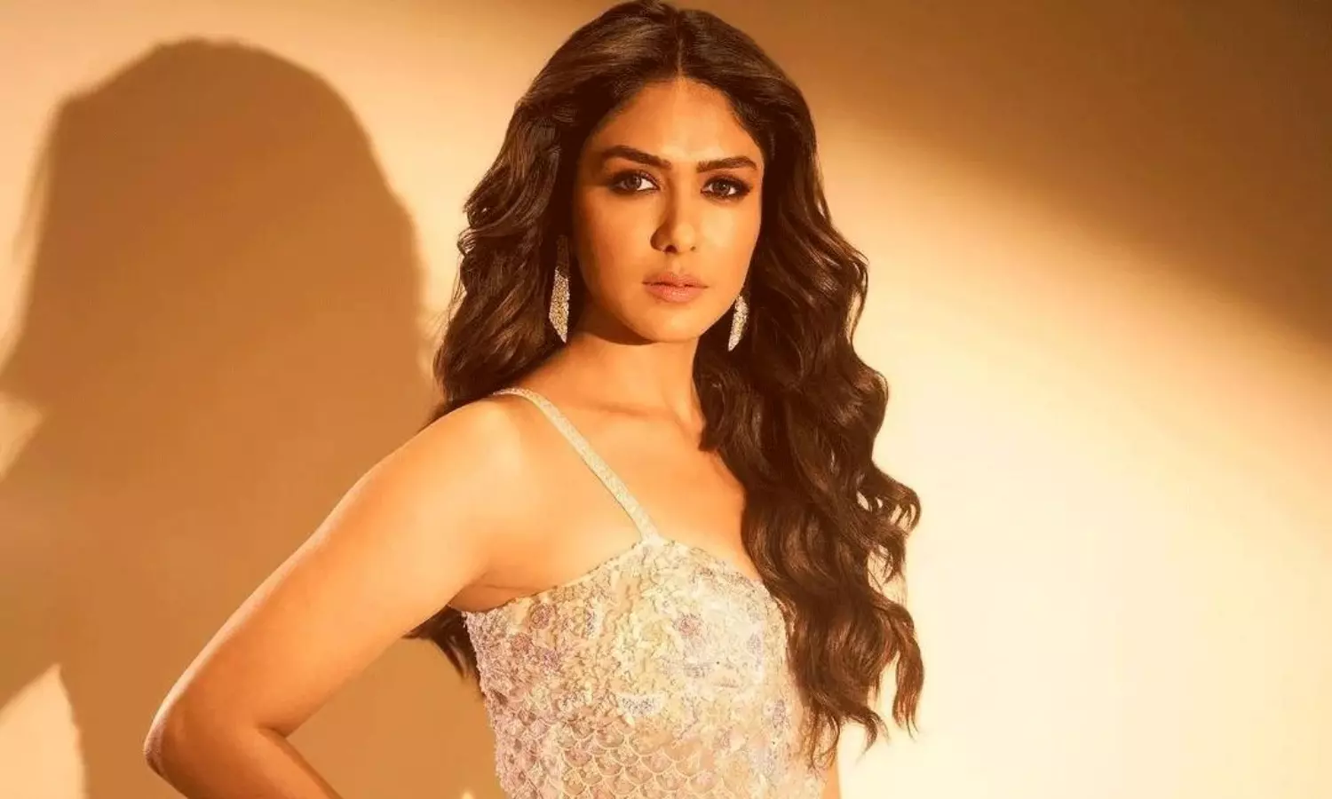 మృణాల్ ఆశలన్నీ ఆ సినిమా మీదే..!