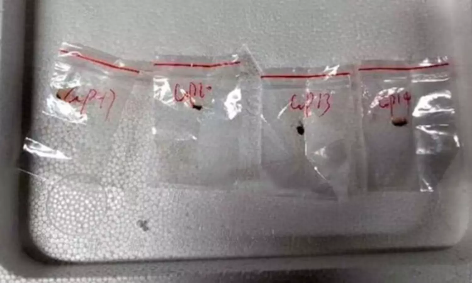 FBI హెచ్చరిక – ఆహార వ్యవస్థపై దాడికి చైనా కుట్ర? FBI హెచ్చరిక – ఆహార వ్యవస్థపై దాడికి చైనా కుట్ర?