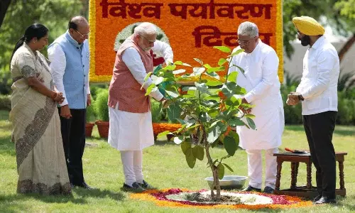 ప్రపంచ పర్యావరణ దినోత్సవం సందర్భంగా సింధూర మొక్క నాటిన ప్రధాని మోదీ