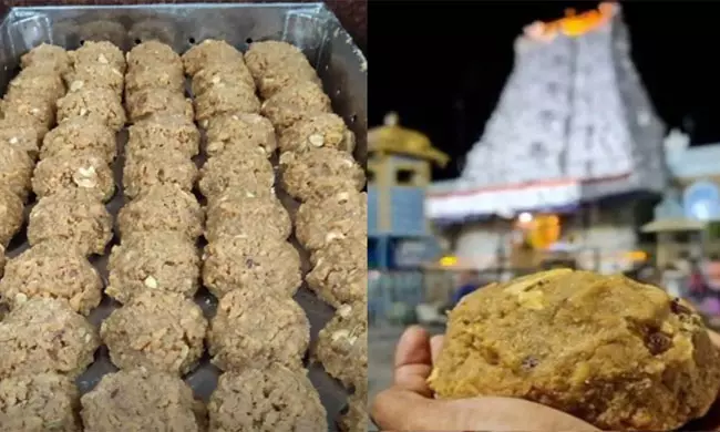 శ్రీవారి లడ్డూకు వాడింది అస్సలు నెయ్యే కాదు..కోర్టుకు సీబీఐ