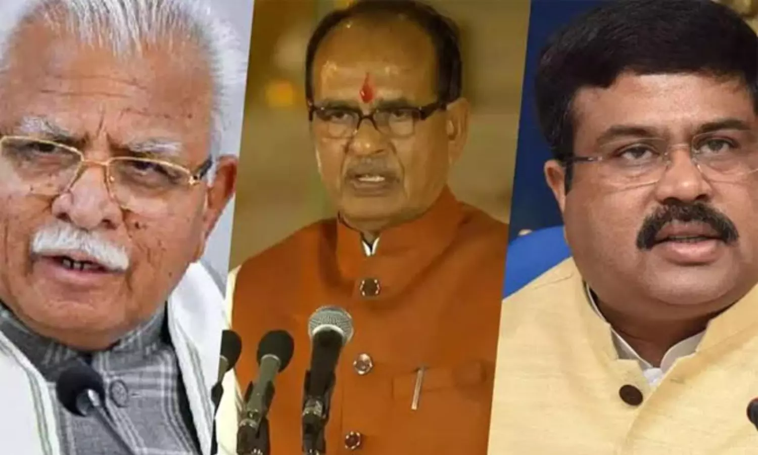 బీజేపీ నూతన జాతీయాధ్యక్షుడి రేసులో ఆ ముగ్గురు బీజేపీ నూతన జాతీయాధ్యక్షుడి రేసులో ఆ ముగ్గురు