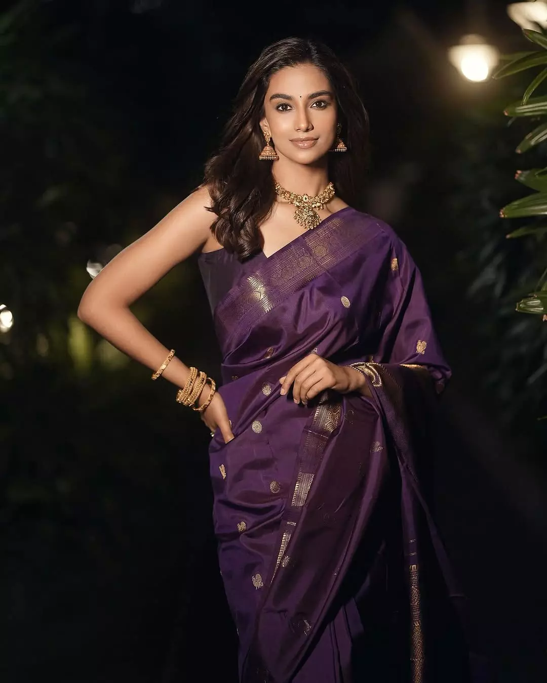 Meenakshi Chaudhary Glows in Saree Look