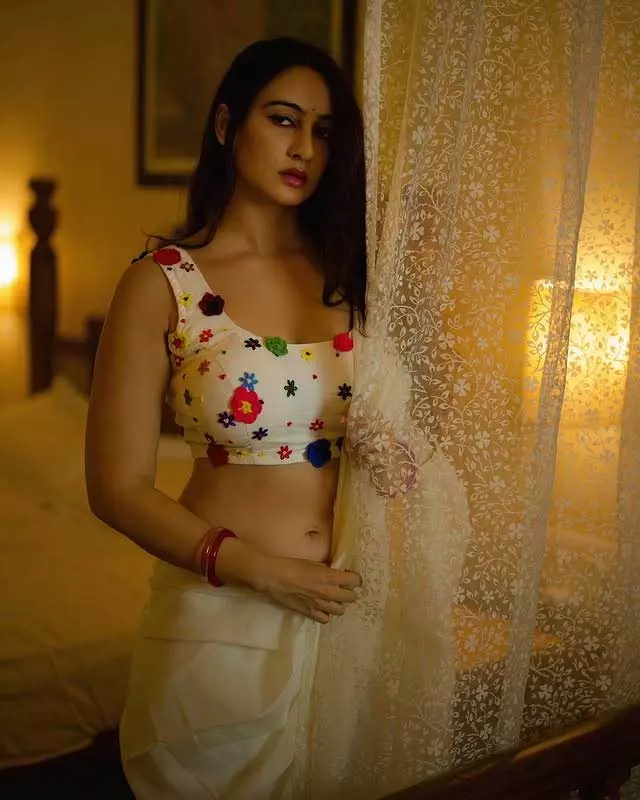 Megha Shukla: Saree Elegance Draped in Grace