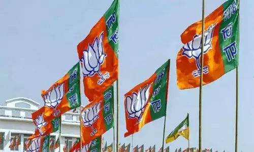 బీజేపీ సంబరాల మీద నీళ్ళు చల్లిందా ?