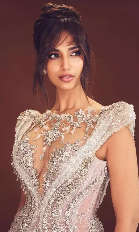 Meenakshi Choudhary Adores in Silver Dress