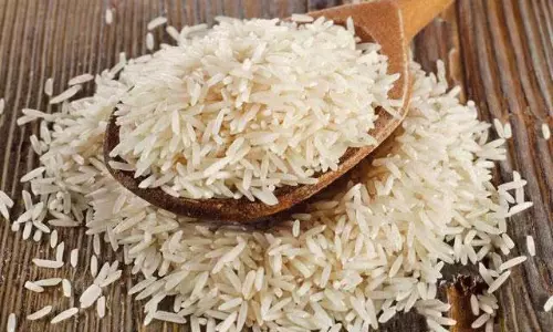 ఇరాన్ - ఇజ్రాయెల్ యుద్ధాన్ని బాస్మతి రైస్ ముందే చెప్పిందా...?