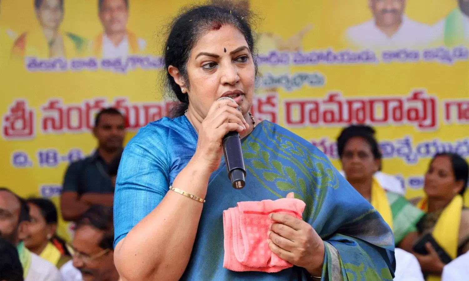 జూనియర్ ఎన్టీఆర్  రాజకీయాల్లోకి...చిన్నమ్మ ఏమన్నారంటే ?