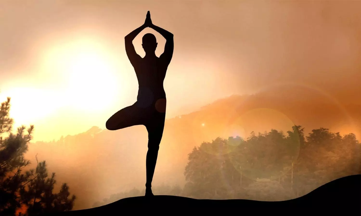 యోగా ఒక పెద్ద బిజినెస్!