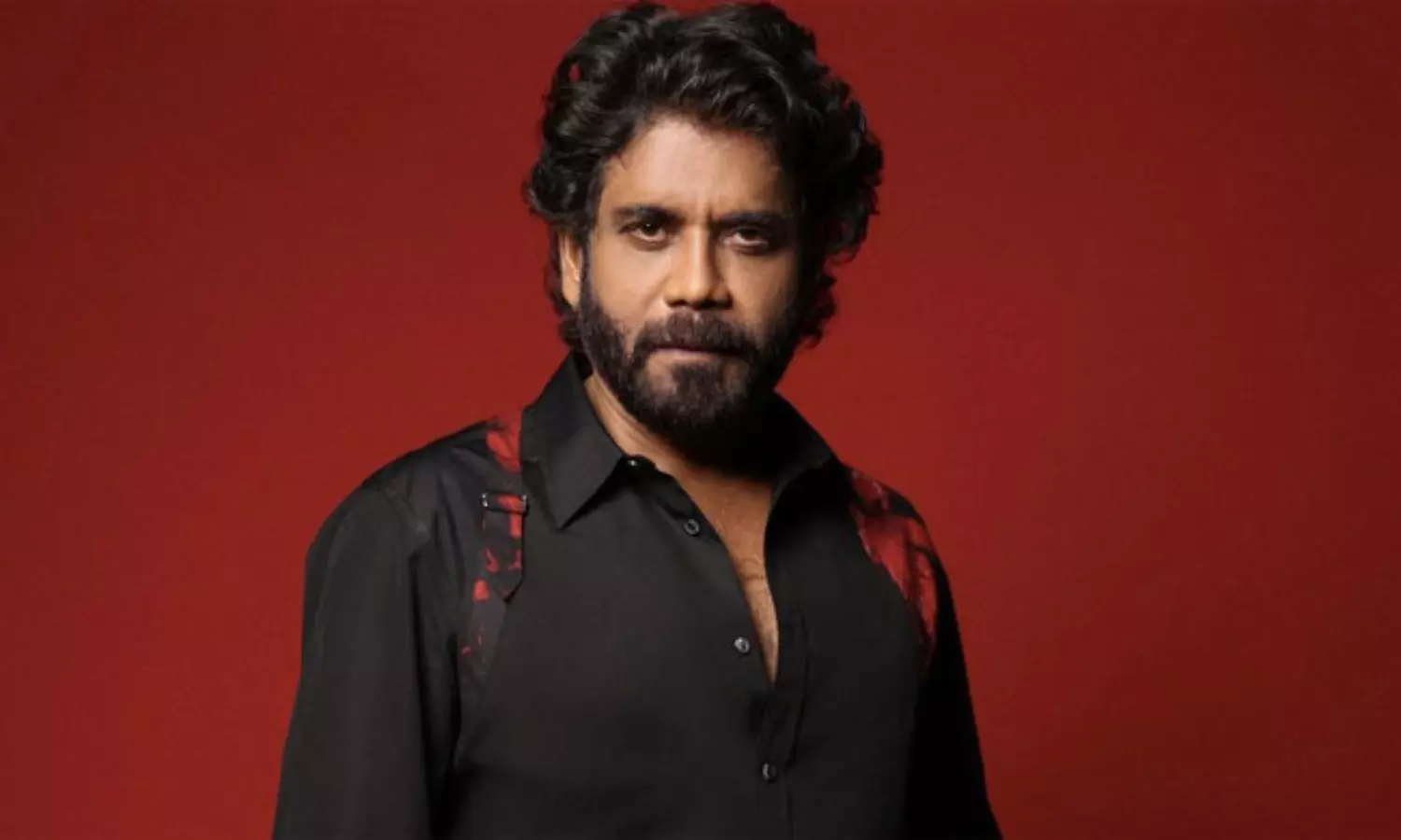 నాగార్జున దూకుడు బాగుందిగా..! నాగార్జున దూకుడు బాగుందిగా..!