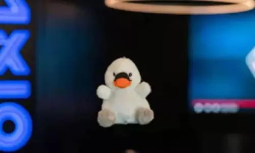 అంతరిక్షంలోకి భారత సంప్రదాయ హంస బొమ్మ.. శుభాంశు గౌరవం అభినందనీయం