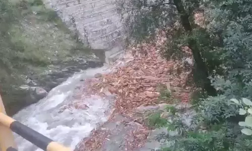 హిమాచల్ ప్రదేశ్ లో పుష్ప సీన్ రిపీట్..!