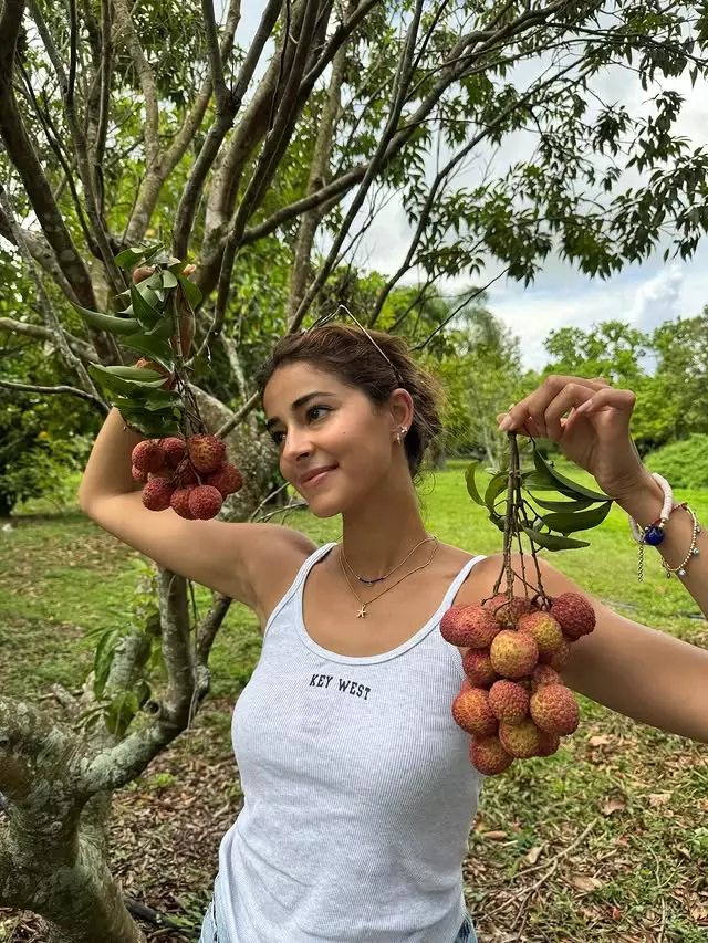 Ananya Panday Shares Relaxed Farm Photo from Miami Ananya Panday Shares Relaxed Farm Photo from Miami