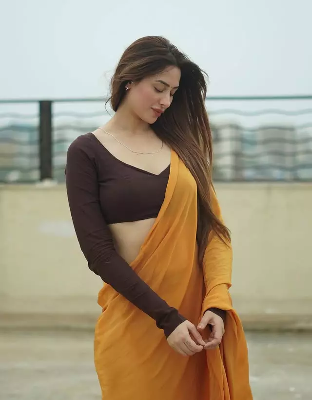 Mahira Sharma Shares Serene Rooftop Moment in Mustard Saree