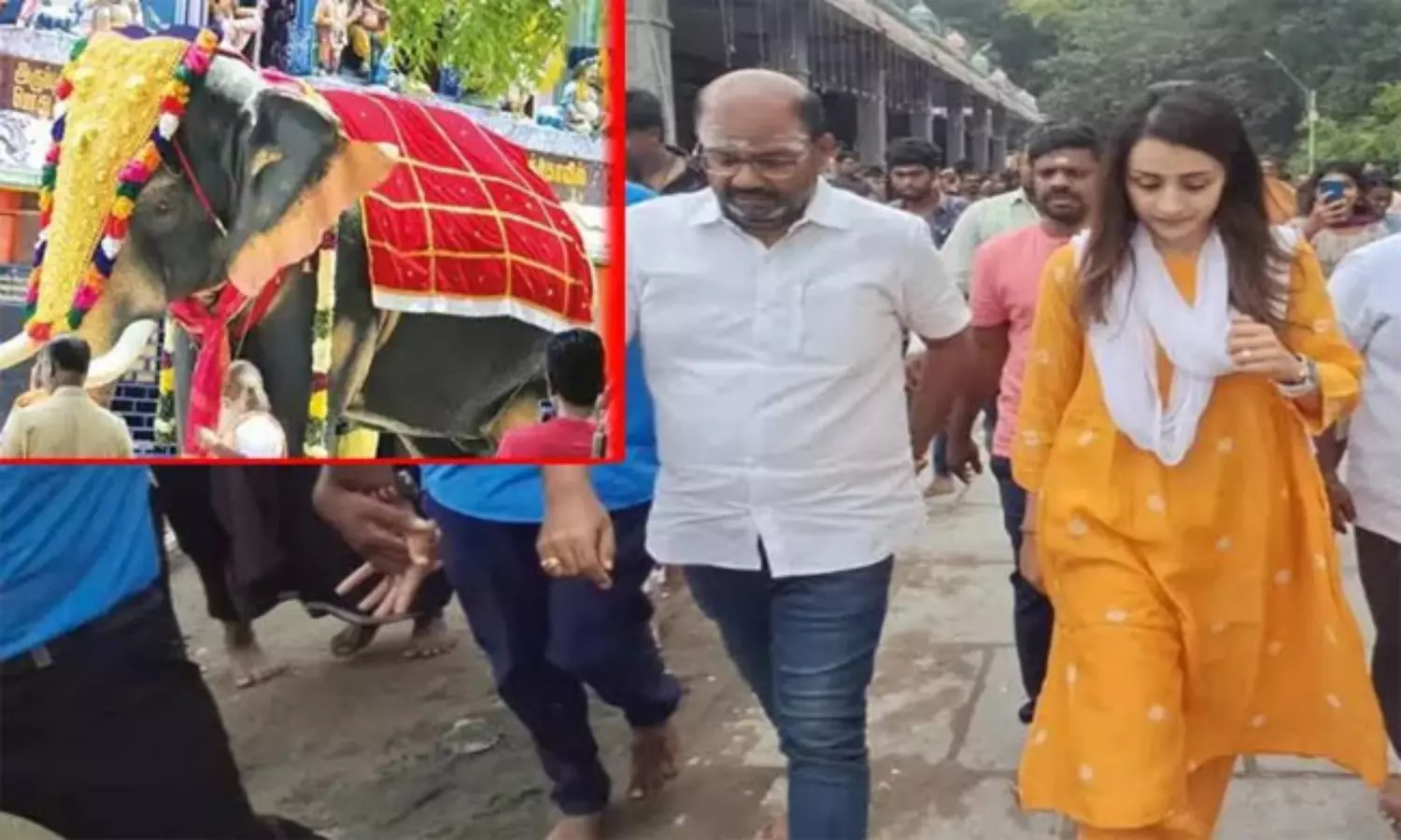 Trisha Gifts Mechanical Elephant to Temple, Shocks Tamil Nadu Devotees
