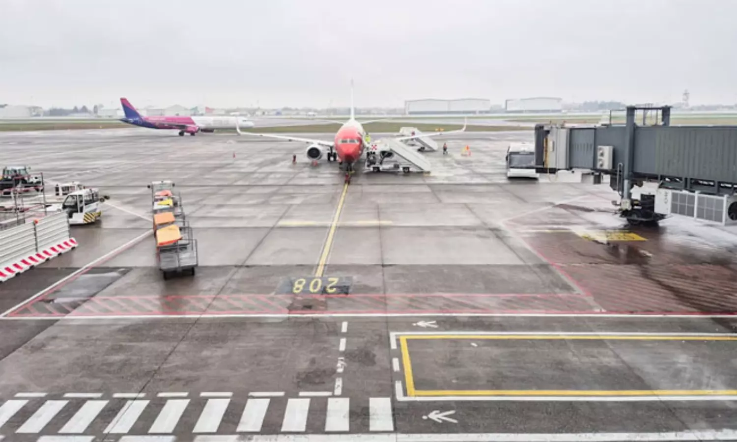 విమానం ఇంజిన్‌  లో పడి వ్యక్తి మృతి... ఆత్మహత్యా?