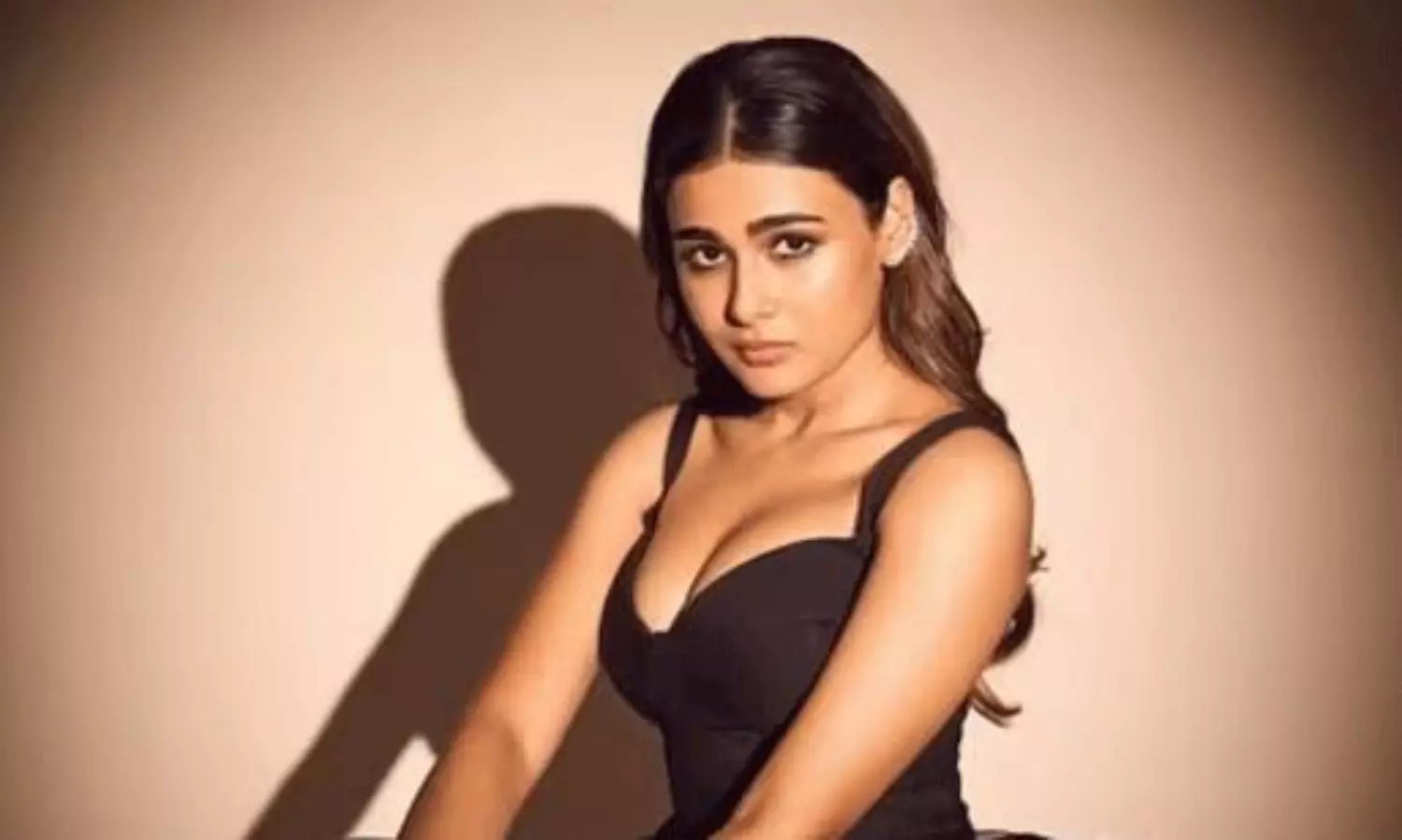 షాలిని కంబ్యాక్ ఎప్పుడు..?