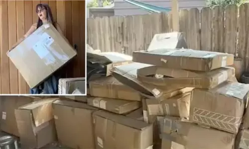 ఆర్డర్‌  పెట్టకుండానే వందల పార్శిళ్లు.. విషయం తెలిస్తే అయ్యో పాపం అంటారు!