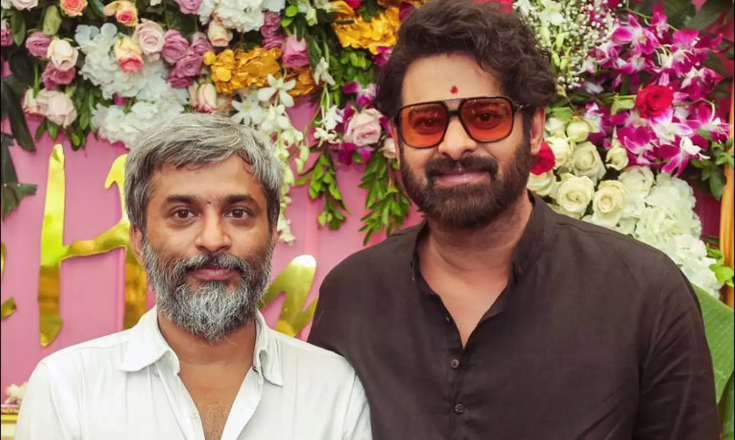 అలాగైతే పౌజీని పక్క‌న‌బెట్టిన‌ట్లేనా?