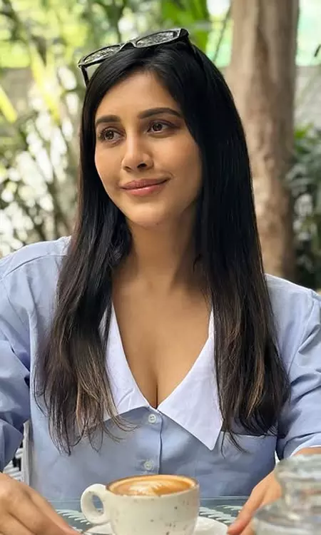 Ismart Beauty Nabha Natesh Nails Every Style