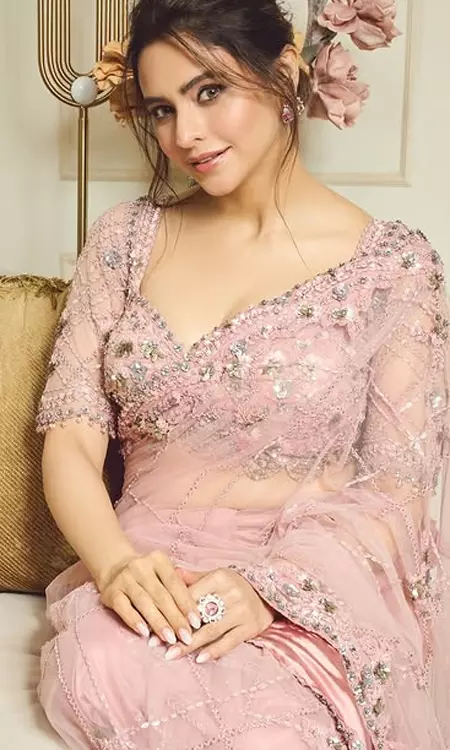 Aamna Sharif Stuns in Designer Saree