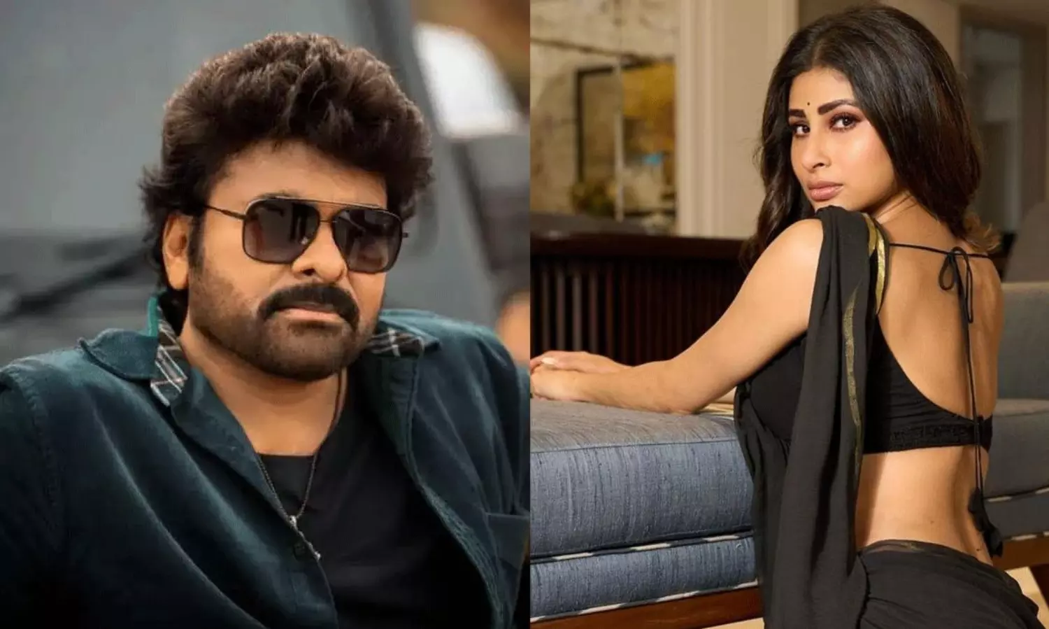 నాగినీతో మెగాస్టార్ రగులుతోంది మొగలిపొద! నాగినీతో మెగాస్టార్ రగులుతోంది మొగలిపొద!