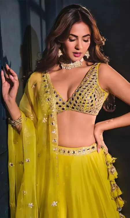 Did Sonal Chauhan Choose Right Pic For Cover?
