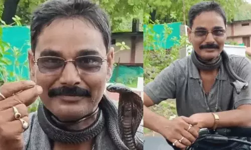 పామును పట్టి మెడలో వేసుకుని తిరిగితే... షాకింగ్  వీడియో!