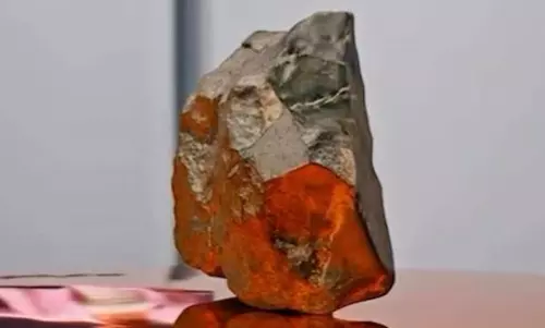 డైనోసార్ అస్థిపంజరం రూ.223 కోట్లు.. 24 కేజీల రాయి రూ.37 కోట్లు