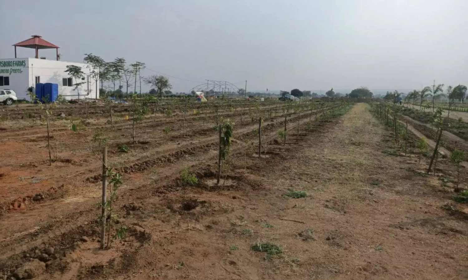 భూ విలువ : ఏపీలో ఎకరానికి తెలంగాణలో రెండు ఎకరాలు