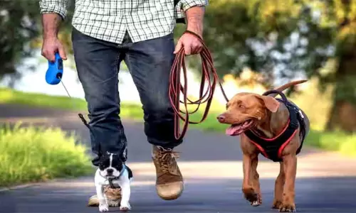 ఇతడి జీతం రూ.4.5 లక్షలు... ఏమి పనో  తెలిస్తే షాక్  తప్పదు!