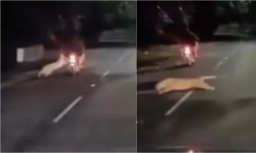 Man Escapes Wild Attack on Alipiri Road