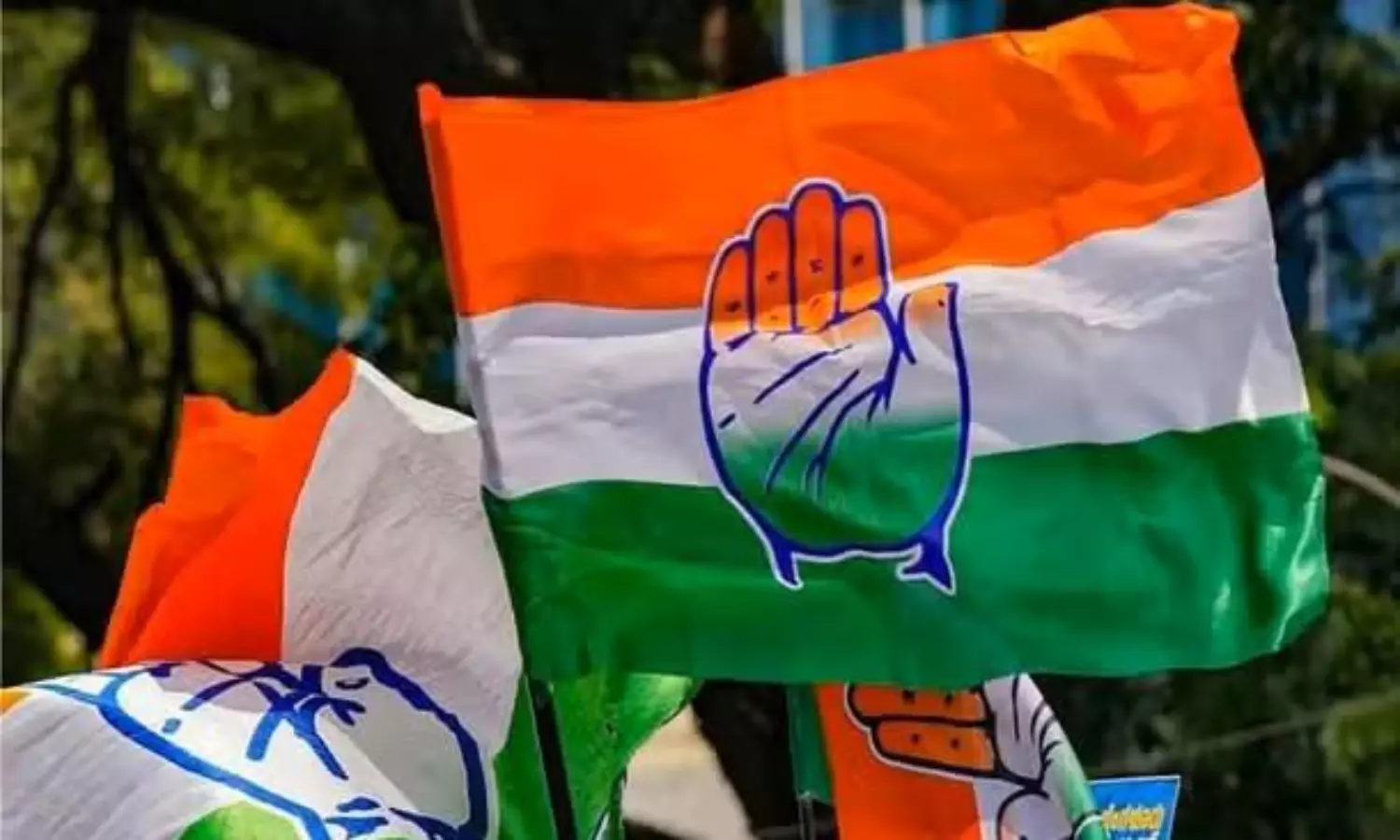 ఏపీ కాంగ్రెస్ కి బీసీలే దిక్కునా ?