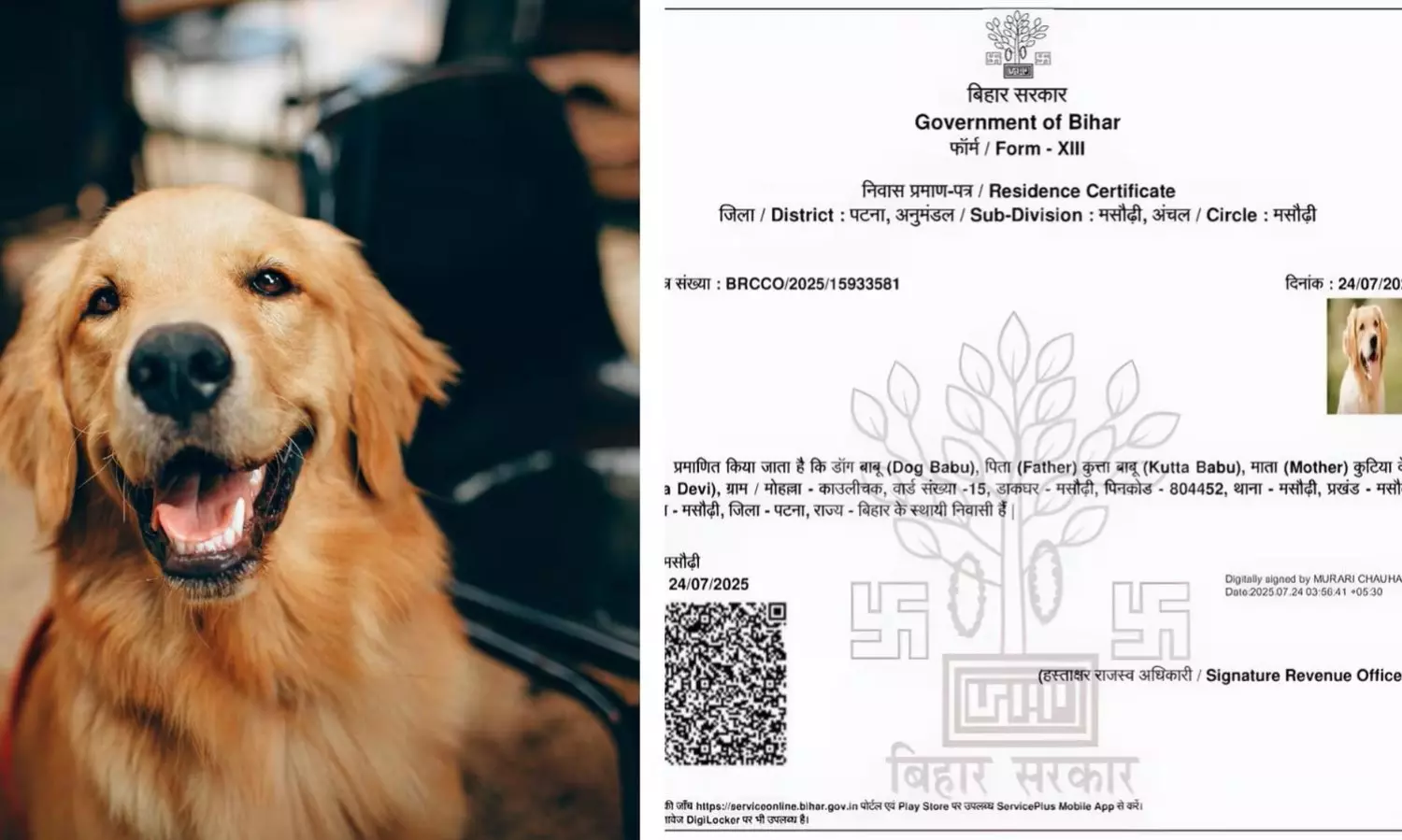 వైరల్ టాపిక్... డాగ్ బాబు సన్నాఫ్ కుట్టా బాబు!