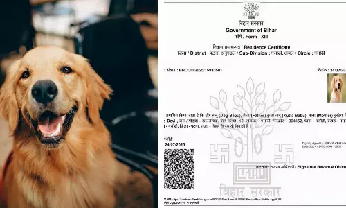 వైరల్ టాపిక్... డాగ్ బాబు సన్నాఫ్ కుట్టా బాబు!