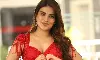 నిధి మరో పాన్ ఇండియా జాక్ పాట్..!