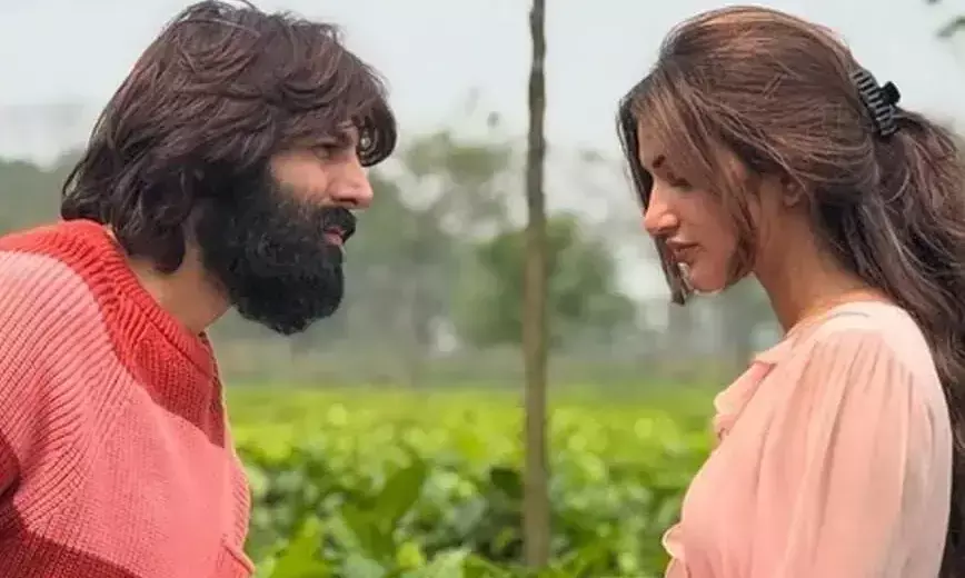 Kartik Aaryan and Sreeleela Film Faces Delay