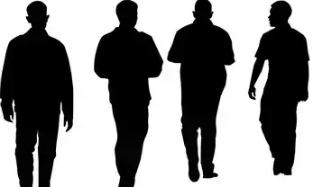 Kannada Malayalam Tamil Heroes Take Over, Telugu Stars Concerned